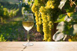 Red,Wine,With,Barrel,On,Vineyard,In,Green,Tuscany,,Italy