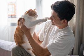 2026/06/pets-during-stressful-moments.jpg