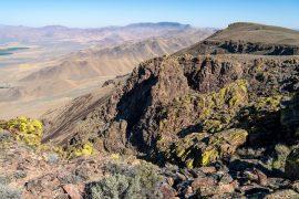 2026/06/desert-moss-partnership.jpg