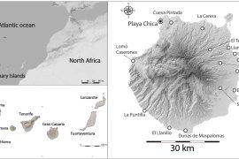 2026/06/ancient-island-fish-clues-ocean-economy.jpg