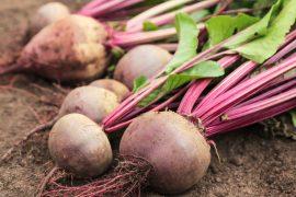 2026/06/beetroot-sugary-gum.jpg