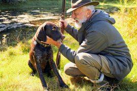 2026/06/Dog-human-bond.jpg