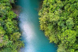 2026/06/river-fish-diversity.jpg