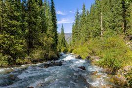 2026/06/Cleaner-rivers.jpg