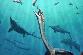 2026/07/triassic-marine-reptile-organs.jpg