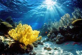 A,Stunning,Underwater,Scene,Featuring,A,Vibrant,Yellow,Coral,Formation