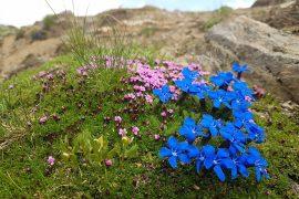 2026/07/Plants-underground-network.jpg