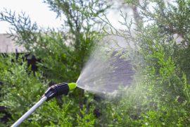 2026/07/Mosquito-spraying.jpg