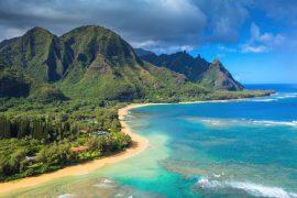 2026/07/Island-biodiversity.jpg