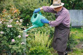 2026/07/Garden-air-quality.jpg