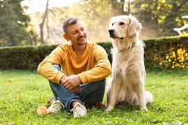 2026/07/pet-ownership3.jpg