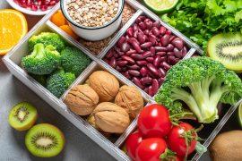 2026/08/Diverse-plant-foods.jpg