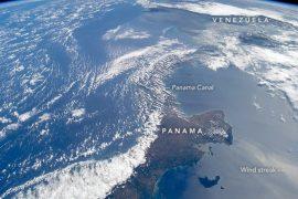 2026/08/mammal-migration-Americas.jpg